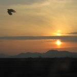 IMG_1795.jpg