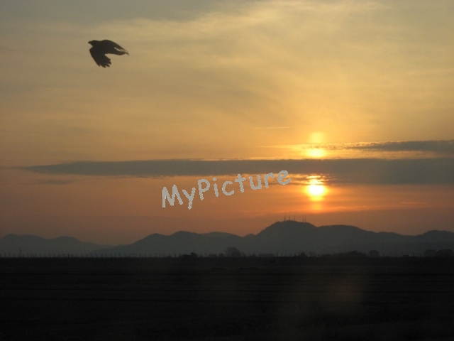 IMG_1795.jpg