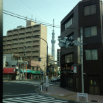 IMG_6481.jpg