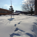 IMG_6496.jpg