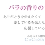 花のプレゼント ローズボックス