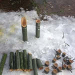 IMG_6670.JPG