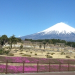 img-0158.jpg