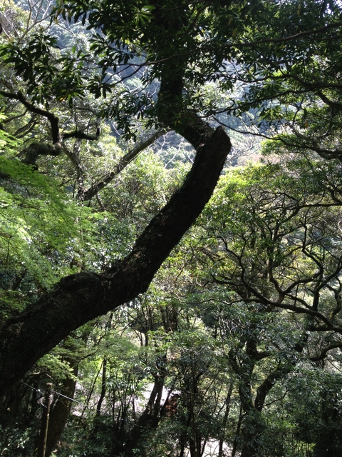 轟峡