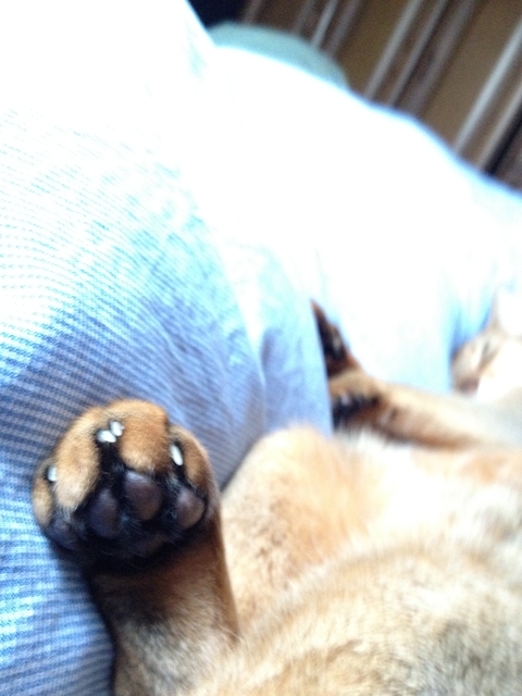 20120418-174857-iPhone.JPG