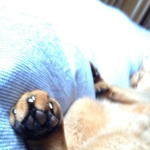20120418-174857-iPhone.JPG