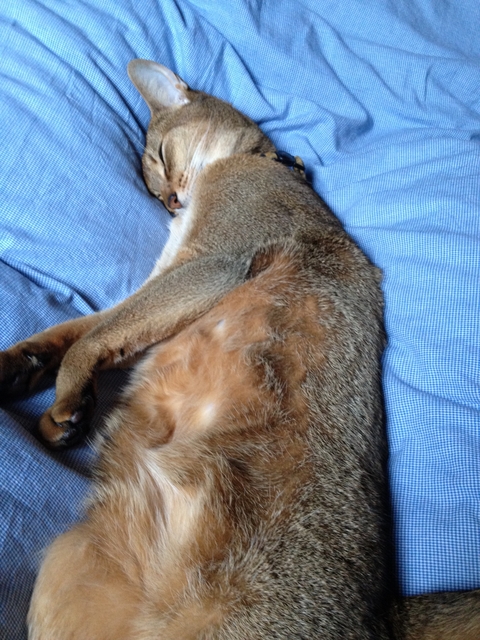 20120418-174856-iPhone.JPG