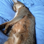 20120418-174856-iPhone.JPG