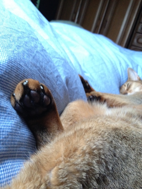 20120418-174855-iPhone.JPG