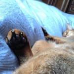 20120418-174855-iPhone.JPG
