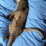 20120418-174855-iPhone_001.JPG