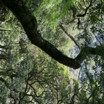 12.04.18 105.jpg