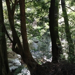 12.04.18 121.jpg