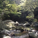 12.04.18 126.jpg