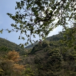 12.04.18 137.jpg