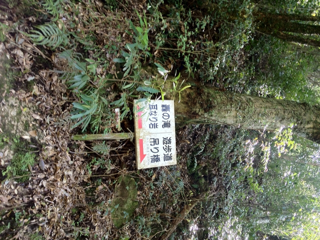 12.04.18 154.jpg