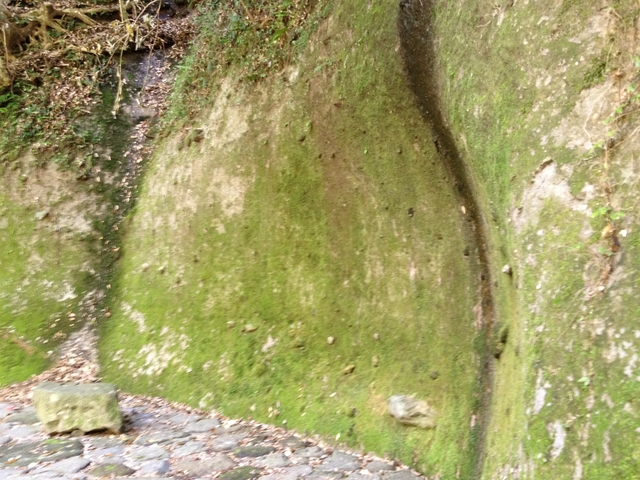 12.04.18 159.jpg