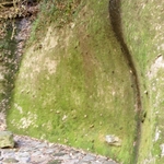 12.04.18 159.jpg