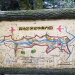 12.04.18 168.jpg