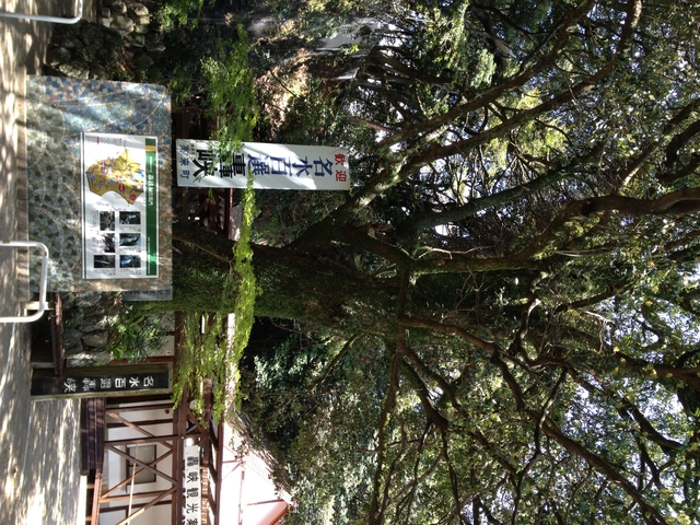 12.04.18 169.jpg