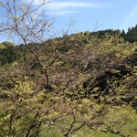 12.04.18 171.jpg