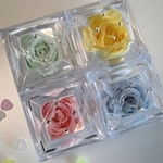 コミュネストップページ用