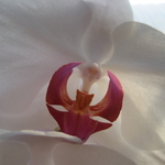 IMG_0322