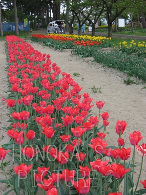 IMG_0056.jpg