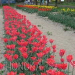 IMG_0056.jpg