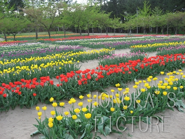 IMG_0068.jpg