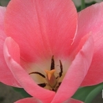 IMG_0049.jpg