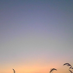 大空