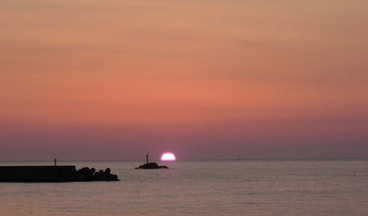 庄内のゆうひ2012