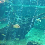 IMG_0595.JPG
