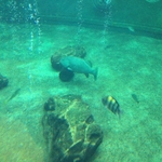 IMG_0601.JPG