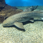 IMG_0604.JPG