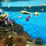 IMG_0623.JPG