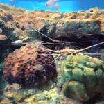 IMG_0624.JPG