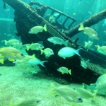IMG_0625.JPG