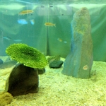 IMG_0637.JPG