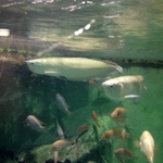 IMG_0643.JPG