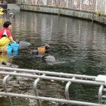IMG_0649.JPG