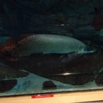 IMG_0659.JPG
