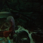IMG_0661.JPG