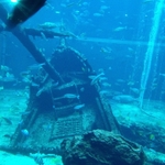 IMG_0678.JPG