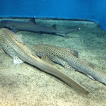 IMG_0679.JPG
