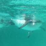 IMG_0793.JPG