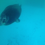 IMG_0798.JPG