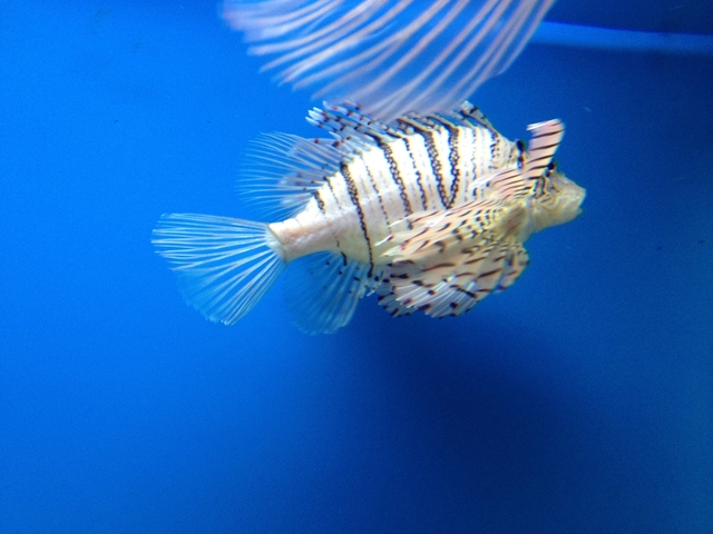 IMG_0803.JPG