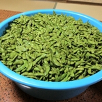 20121007-114148-iPhone_001.JPG